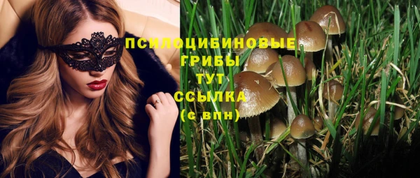 мдпв Лабытнанги