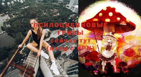 герыч Лагань