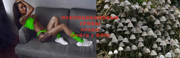 мдпв Лабытнанги