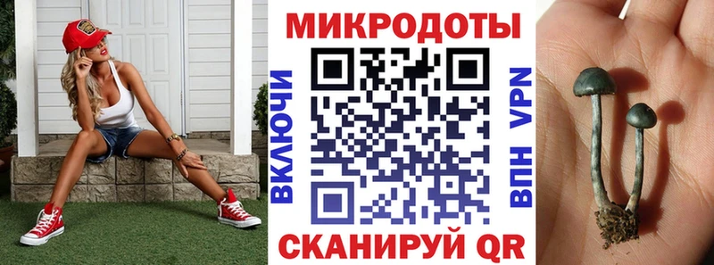 Галлюциногенные грибы GOLDEN TEACHER  Купить  Ковдор 